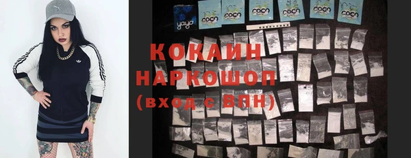 винт Протвино