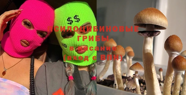 метадон Алексеевка