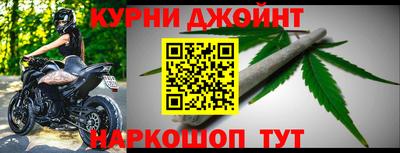 прущие грибы Краснокаменск