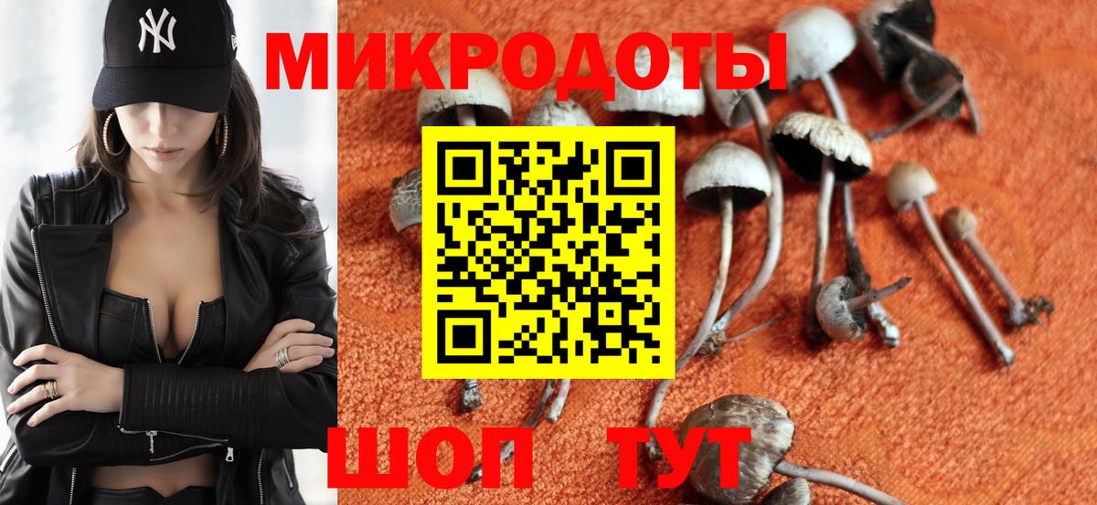 Псилоцибиновые грибы мицелий  Вход с VPN  Железноводск 